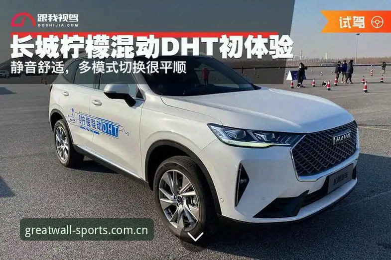 长城体育最新版下载全攻略——从安装到优化的创新体验详解